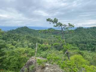 一年峰山道からの景色