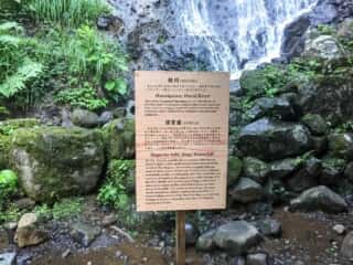 出羽三山 祓川 須賀瀧