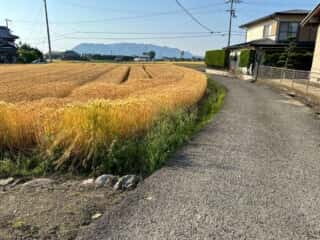 四国八十八ヶ所霊場 第67番札所 大興寺〜第68番札所 神恵院