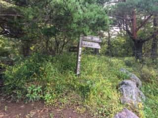 権現岳登山道