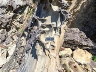竜串海岸の奇石