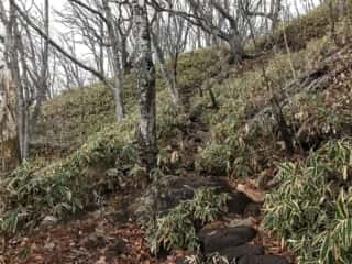 榛名富士　登山道