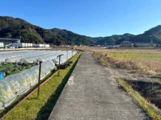 四国八十八ヶ所霊場 第35番札所 清瀧寺～第36番札所 青龍寺