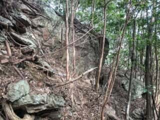 若杉山遺跡の巨石群