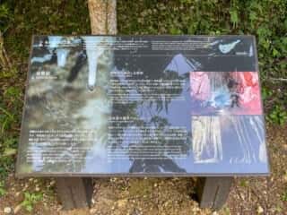 沖永良部島 昇竜洞