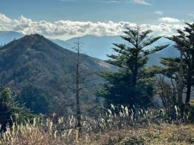 寒峰・烏帽子山