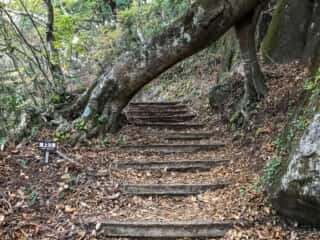 筑波山自然研究路