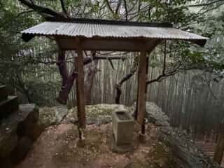 四国八十八ヶ所霊場 第30番札所 善楽寺～第31番札所 竹林寺（五台山）