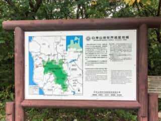 白神山地世界遺産地域