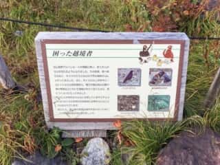 立山