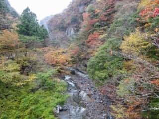 剣山スーパー林道