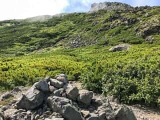 羅臼岳登山道