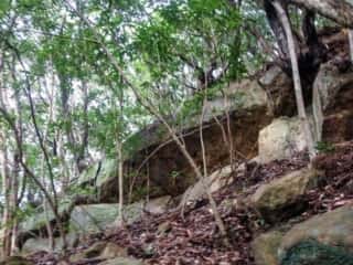 ビシャゴ磯 裏山の巨石群