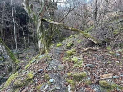 黒笠山