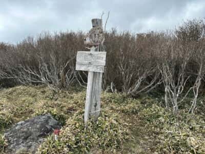 土佐矢筈山・小桧曽山