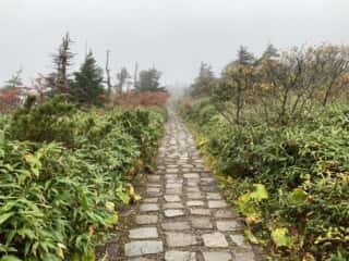 八幡平登山道