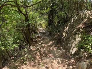 四国八十八ヶ所霊場 第87番札所 長尾寺〜第88番札所 大窪寺