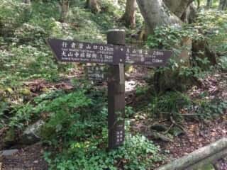 大山登山道