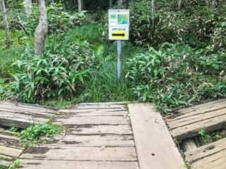 知床五湖 地上遊歩道