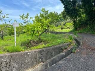 四国八十八ヶ所霊場 第61番札所 香園寺奥の院〜第61番札所 香園寺