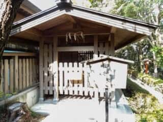 おのころ島神社・八百萬神社　御神木
