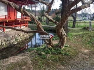 蝦蟇ヶ池辯天堂