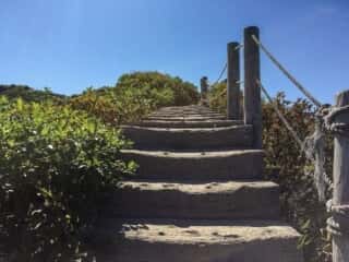 大山登山道