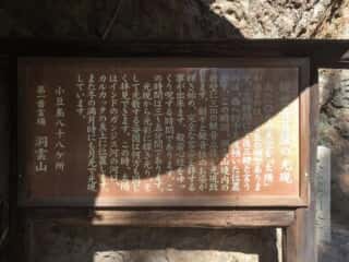 洞雲山 (夏至観音)　観世音菩薩の光現 由緒