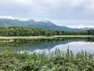 知床五湖 地上遊歩道