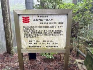 四国八十八ヶ所霊場 第11番札所 藤井寺〜第12番札所 焼山寺
