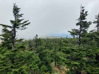 八幡平登山道