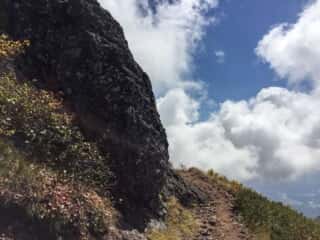 権現岳