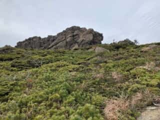 早池峰山 登山道