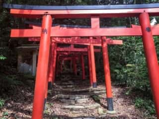 大龍寺　鳥居