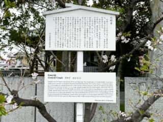 四国八十八ヶ所霊場 第53番札所 円明寺〜伊予和気駅