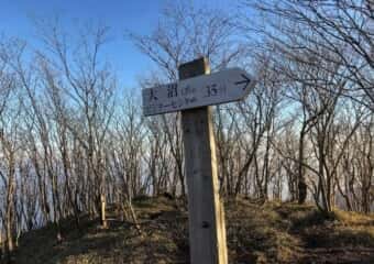 駒ケ岳 登山道