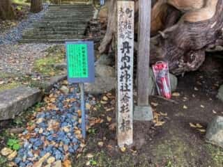 丹内山神社　御神木爺杉の根株