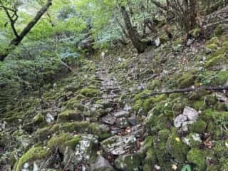 丸笹山