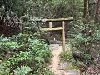 大泉神社