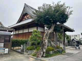 四国八十八ヶ所霊場 第16番札所 観音寺
