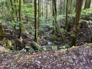 四国八十八ヶ所霊場 第65番札所 三角寺〜第66番札所 雲辺寺