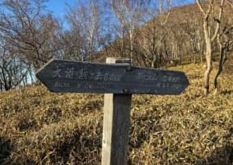 駒ケ岳 登山道
