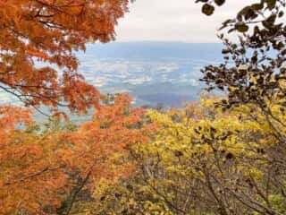 岩手山登山道からの景色