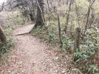 石鎚山 2019年4月28日