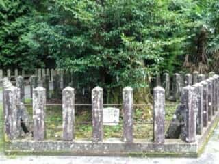 国造神社　白蛇の桧