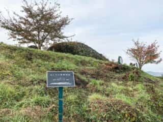 きたかみ景観資産 亀岩