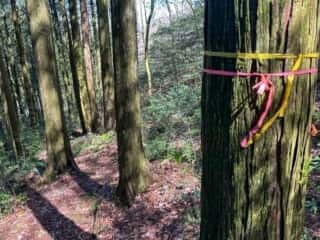 四国八十八ヶ所霊場 第42番札所 仏木寺〜第43番札所 明石寺