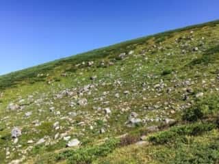 お池めぐり 白山