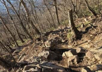 駒ケ岳 登山道
