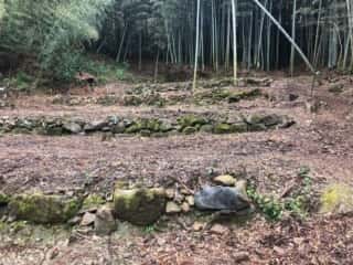 竹ヶ島の中心にある7段のテラス